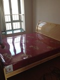 席梦思弹簧棕垫双人椰棕床垫软硬两面出租房用经济型床垫20厘米厚