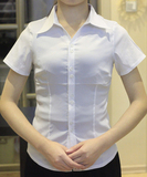 夏季新款女士职业衬衣短袖弹力隐条纹衬衫半袖白色面试银行服务员