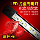 享庭龙鱼专用LED潜水灯水中灯红龙金龙血鹦鹉0.6-1.8米鱼缸单双排