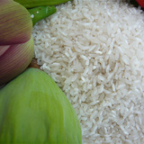 2015年新米 农家大米有米屑有断米包装简易 自家种植 2.8元/斤