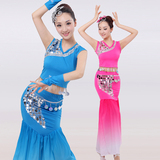 少数民族傣族舞演出服傣族服装成人新款夏孔雀舞蹈服装表演服饰女