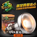 沙漠UVA日灯强烈型加热灯 陆龟鬃狮蜥蜴爬虫龟箱聚光灯RS高品质