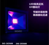 LEDVU油墨固化灯10W无影胶灯黑光灯50W美甲395NM 照蝎365NM便携款