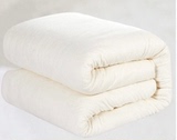 金荷手工棉花褥子,垫被,大学生宿舍床垫,棉褥,幼儿园棉被,可定制