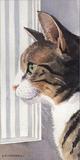 水粉画风格狸花猫猫咪挂画壁画无框画装饰画6030尺寸两幅九折包邮