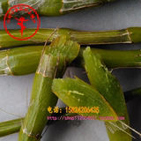新鲜3年铁皮石斛条一斤 纯天然野生条件种植 可制作枫斗 全国包邮