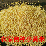 小黄米 月子米 宝宝米五谷杂粮农家自种500g初级农产品