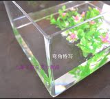 飞奥 亚克力鱼缸有机玻璃龟缸水族箱U型鱼缸龟缸水箱定做透明盒子