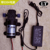 雷泰电动隔膜泵微型小水泵喷雾器水泵220V60W自吸式水泵增压泵