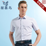 报喜鸟2015新款男士短袖衬衫纯棉蓝格纹薄款修身型正装衬衣CC320