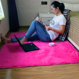 现代加厚丝毛地毯卫浴垫脚垫吸水卧室客厅茶几床边毯防滑门垫地垫