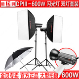 金贝600W摄影灯套装DPIII-600专业影室闪光灯双灯摄影棚拍照器材