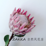 ZAKKA自然风鲜花花束全国南京鲜花速递生日节日花束粉帝王花