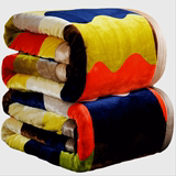 秋冬季加厚毛毯子双人学生宿舍单人冬天铺床珊瑚绒毯床单单件盖毯