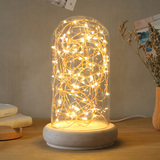 火树银花实木玻璃罩夜灯宜家北欧风LED装饰台灯创意生日礼物
