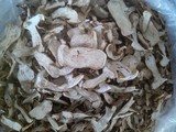 牛肝菌大腿蘑小子山产品东北特产干货菌类无硫野生蘑菇榛蘑松蘑