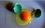 乌鸡蛋农家散养 新鲜正宗绿壳皮蛋 自养草鸡蛋 纯天然土鸡蛋 包邮