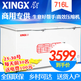 XINGX/星星 BD/BC-716E 大容量冰柜商用冷柜大型冷冻卧式单温雪柜