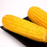 甘肃特产 甜玉米 水果玉米 真空甜玉米棒 非转基因 绿色无添加