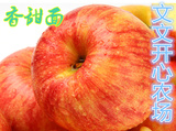 乔纳金东北特产农产品 新鲜乔纳金苹果 水果粉面刮泥8斤包邮