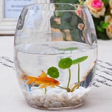 透明玻璃花瓶 花盆 鹅蛋型玻璃花瓶 水培植物花瓶