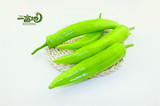 绿色蔬菜 新鲜蔬菜 净菜 尖椒 辣椒 有机方式种植生态菜同城配送