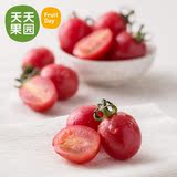 【天天果园】精选小番茄 2斤 新鲜水果鲜果圣女果