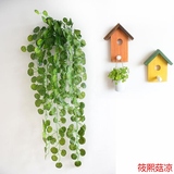 壁挂仿真海棠 绿萝 爬山虎藤条 绿植挂壁墙饰空调下水管道装饰