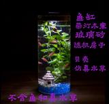 水族生态斗鱼鱼缸 带灯微景观灯造景植物圆柱形玻璃瓶创意桌面