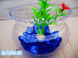 迷你田园水培花瓶 水仙植物小花盆 小型花边金鱼缸 圆形透明玻璃