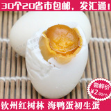 广西钦州红树林 海鸭佬咸 海鸭蛋 初生蛋单个50g咸蛋
