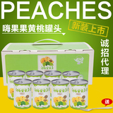 柏森新鲜糖水水果黄桃罐头整箱8罐出口韩国食品砀山特产正品包邮