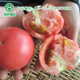寿光新鲜有机蔬菜 西红柿 番茄 洋柿子 农家自种 500g