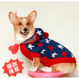 出口日本中大型犬秋冬毛衣柯基斗牛新年星星款圣诞衣服