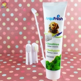 狗狗牙膏牙刷套装宠物用品除口臭去牙结石猫宠物牙刷美容清洁用品