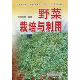 野菜栽培与利用 畅销书籍 种植业 正版