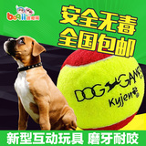 波奇网 全国包邮酷极Kyjen宠物训导球狗狗网球玩具耐咬磨牙玩具