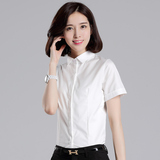 韩国职业装白衬衫女短袖夏季韩范 棉工作服衬衣修身大码免烫正装