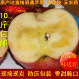 2016年昭通苹果红富士 新鲜冰糖心丑苹果水果 果园直销10斤包邮
