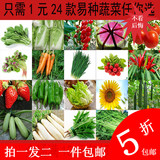 一件包邮蔬菜种子青菜香葱四季春播阳台盆栽家庭种菜特价拍一发二
