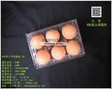 小号6枚土鸡蛋托柴鸡蛋托绿壳蛋托盘吸塑塑料包装盒 内径42MM X6