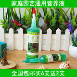 家庭园艺营养液 绿叶王水养花卉绿植物绿萝专用 防止黄叶 通用型