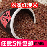 农家自产红大米 新货纯天然有机红粳米糙米血稻米月子红稻米250g