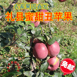 包邮现摘礼县甜脆富士丑苹果新鲜水果苹果5斤有机无公害苹果水果