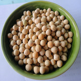 云南特产 农家有机生豌豆500g/袋 干豌豆 发豆芽苗 五谷杂粮大豆
