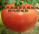 农家自种西红柿有沙瓢无公害番茄500g新鲜蔬菜杭州同城配送发全国