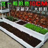 50CM宽家庭阳台种菜盆蔬菜种植箱特大阳台菜园花盆花槽长方形特价