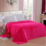 床上用品纯色法兰绒毛毯 冬季加厚保暖床单盖毯 新企业店亏本销售
