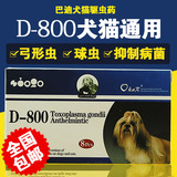 美国巴迪D-800 弓形虫球虫驱虫药 犬猫通用狗狗打虫药 8粒 包邮