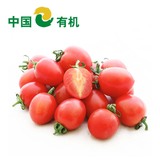 顺意生 新鲜有机蔬菜红圣女果 健康有机小番茄500g 新鲜配送